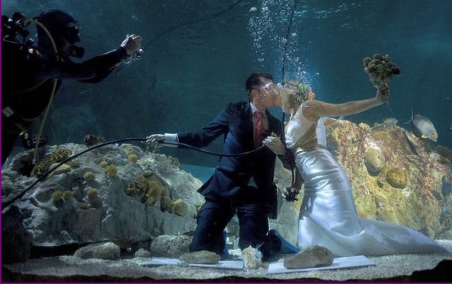весілля під водою