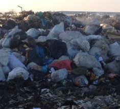 Чи заборонять ввозити на рівненське сміттєзвалище львівські відходи?