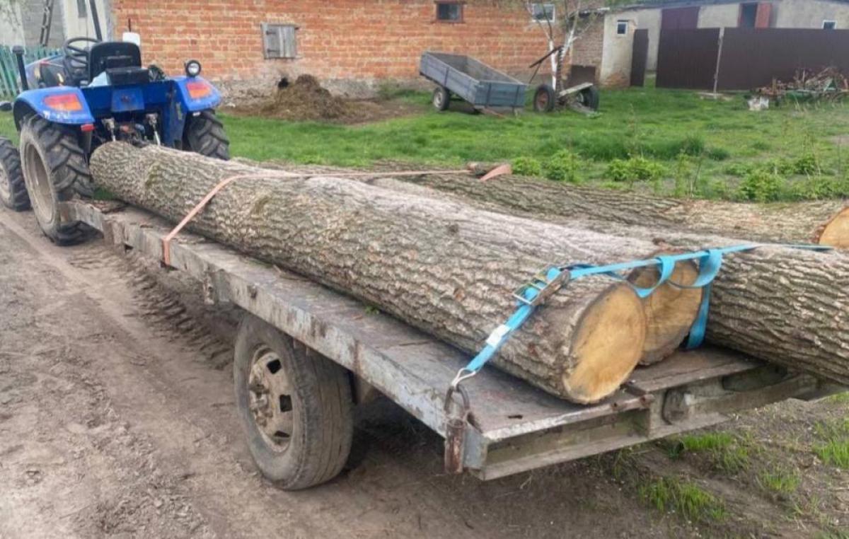 Без номерних знаків та із незаконно зрізаною деревиною: на Дубенщині зупини трактор з напівпричепом