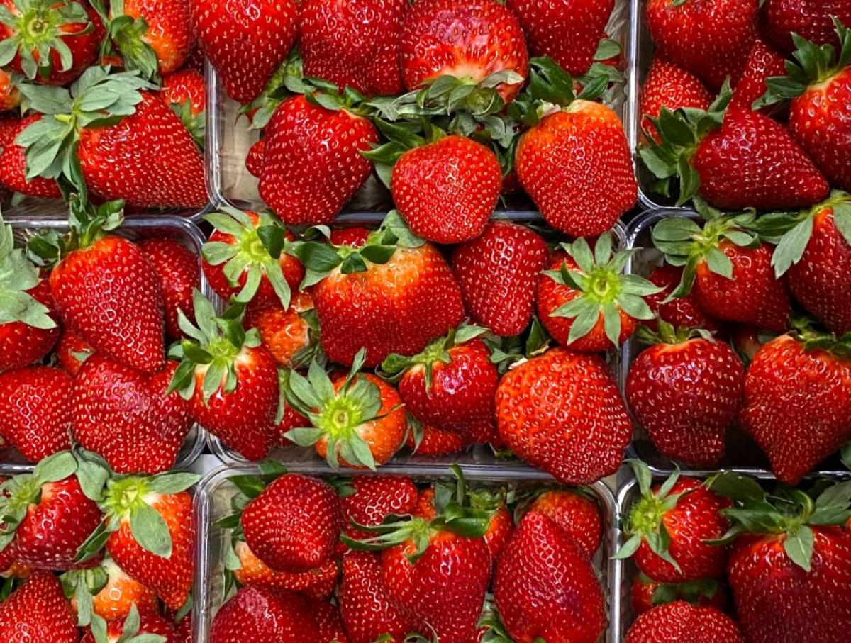 Які ягоди знижують рівень цукру в крові: чи можна полуницю діабетикам