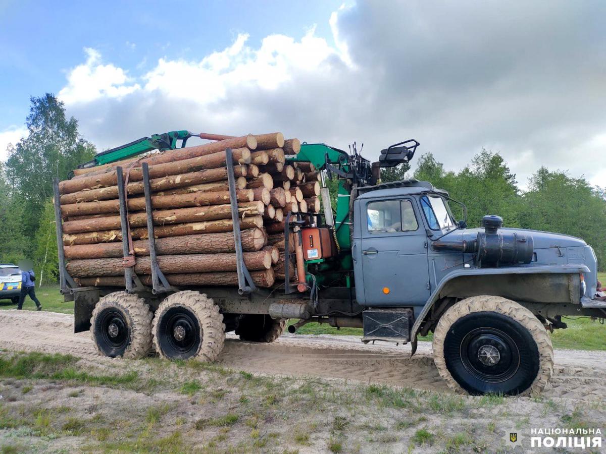 Незаконна порубка лісу: на Рівненщині правоохоронці виявили вантажівку навантажену деревиною 