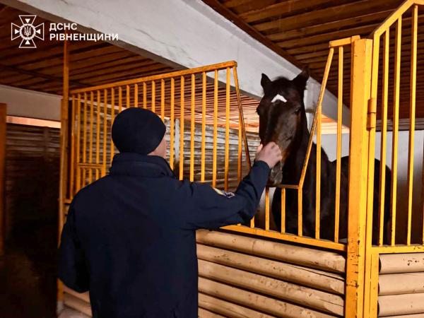Піротехніки Рівненщини відновлюють психологічну стійкість через іпотерапію