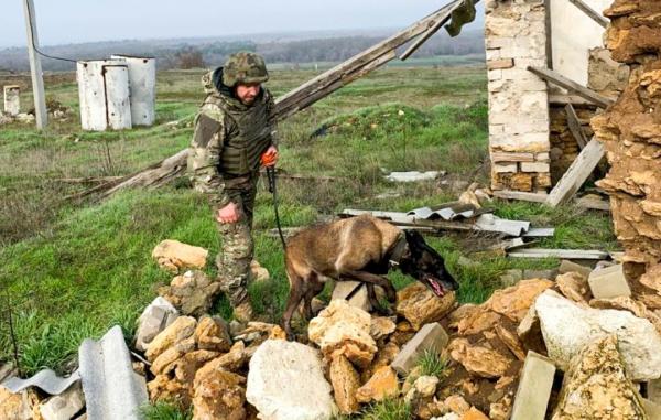 «Кожна знайдена міна — ще одне врятоване життя», — кінолог поліції Рівненщини Михайло Рубель (ФОТО)