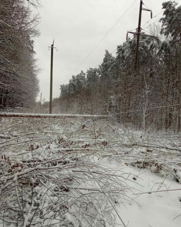 Після буревію: 8 населених пунктів Рівненщини досі без електропостачання
