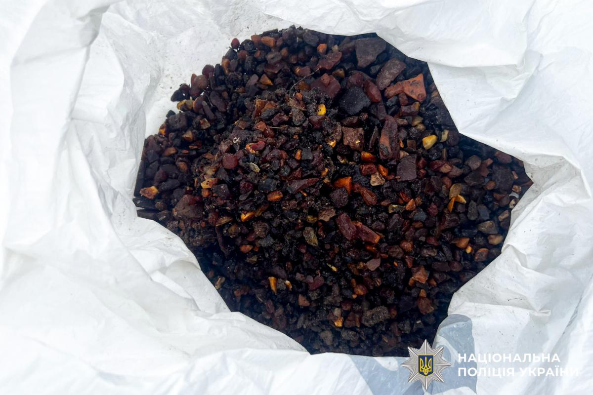 На Сарненщині поліція викрила незаконний видобуток бурштину