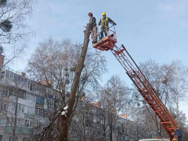 У Рівному комунальники обрізають дерева та прибирають сніг у парках