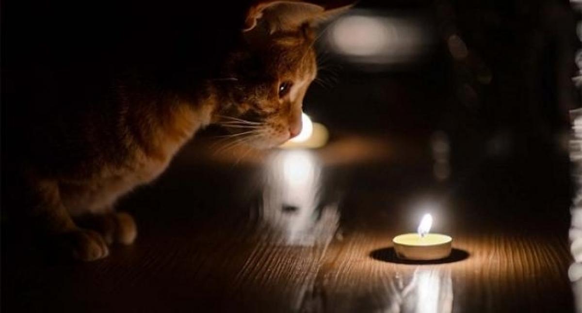 На Рівненщині 14 січня діятимуть погодинні відключення електроенергії