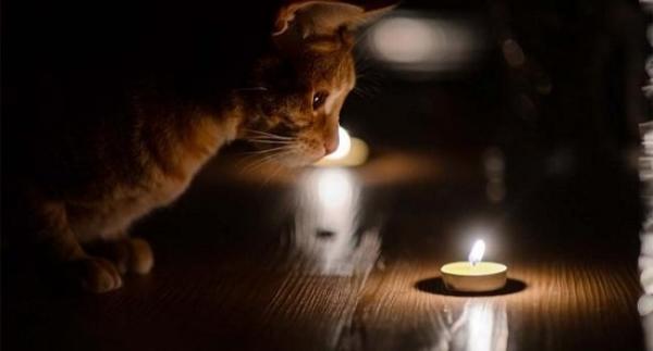 На Рівненщині 14 січня діятимуть погодинні відключення електроенергії