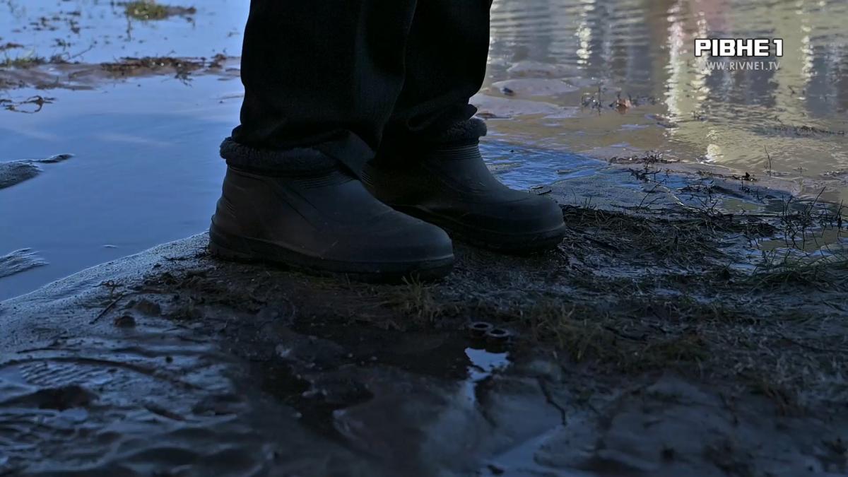 Велика вода на Рівненщині: як рятують подвір’я та чи чекати повені (ВІДЕО)