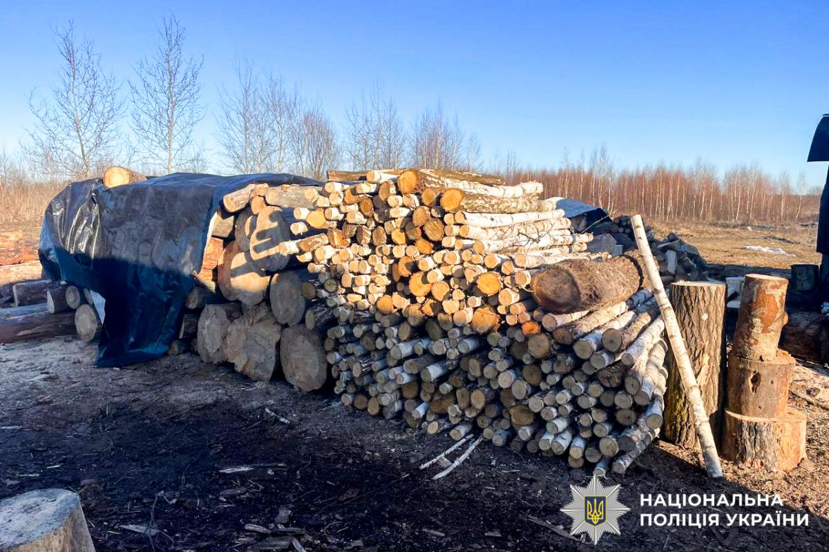 На Рівненщині викрили незаконне випалювання вугілля: вилучили 15 кубометрів деревини