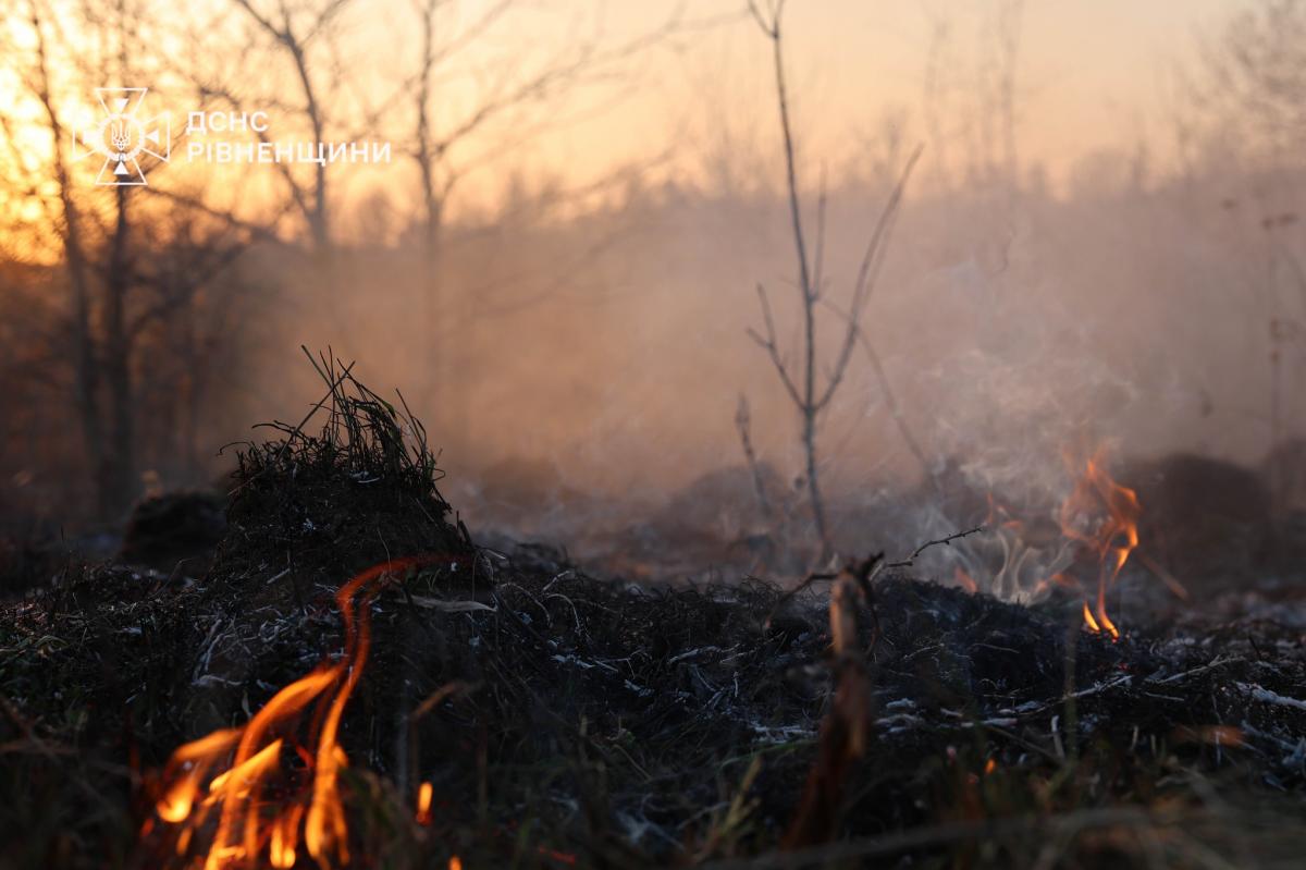 На Рівненщині критична ситуація з пожежами в екосистемах