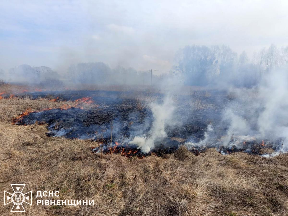 На Рівненщині за добу сталося 17 пожеж в екосистемах: вигоріло понад 5 гектарів