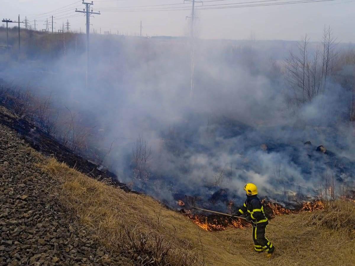 На Рівненщині за добу вигоріло майже 10 гектарів природних екосистем