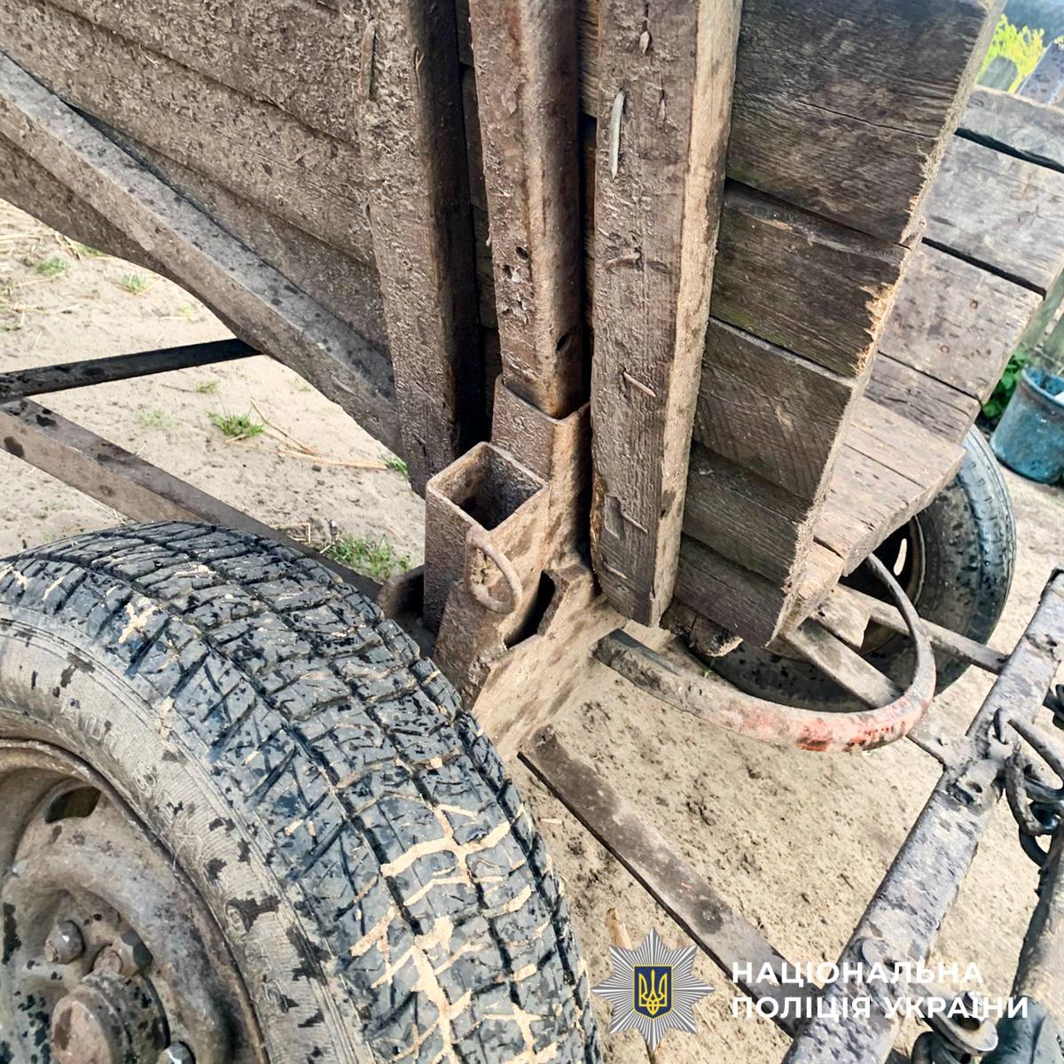 На Рівненщині підвода врізалась у дерево: двоє підлітків у тяжкому стані