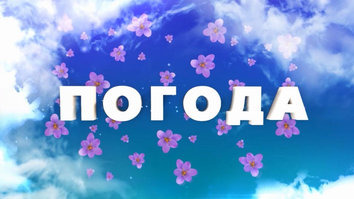 Метеопрогноз на 5–8 травня: сонячні дні закінчаться опадами