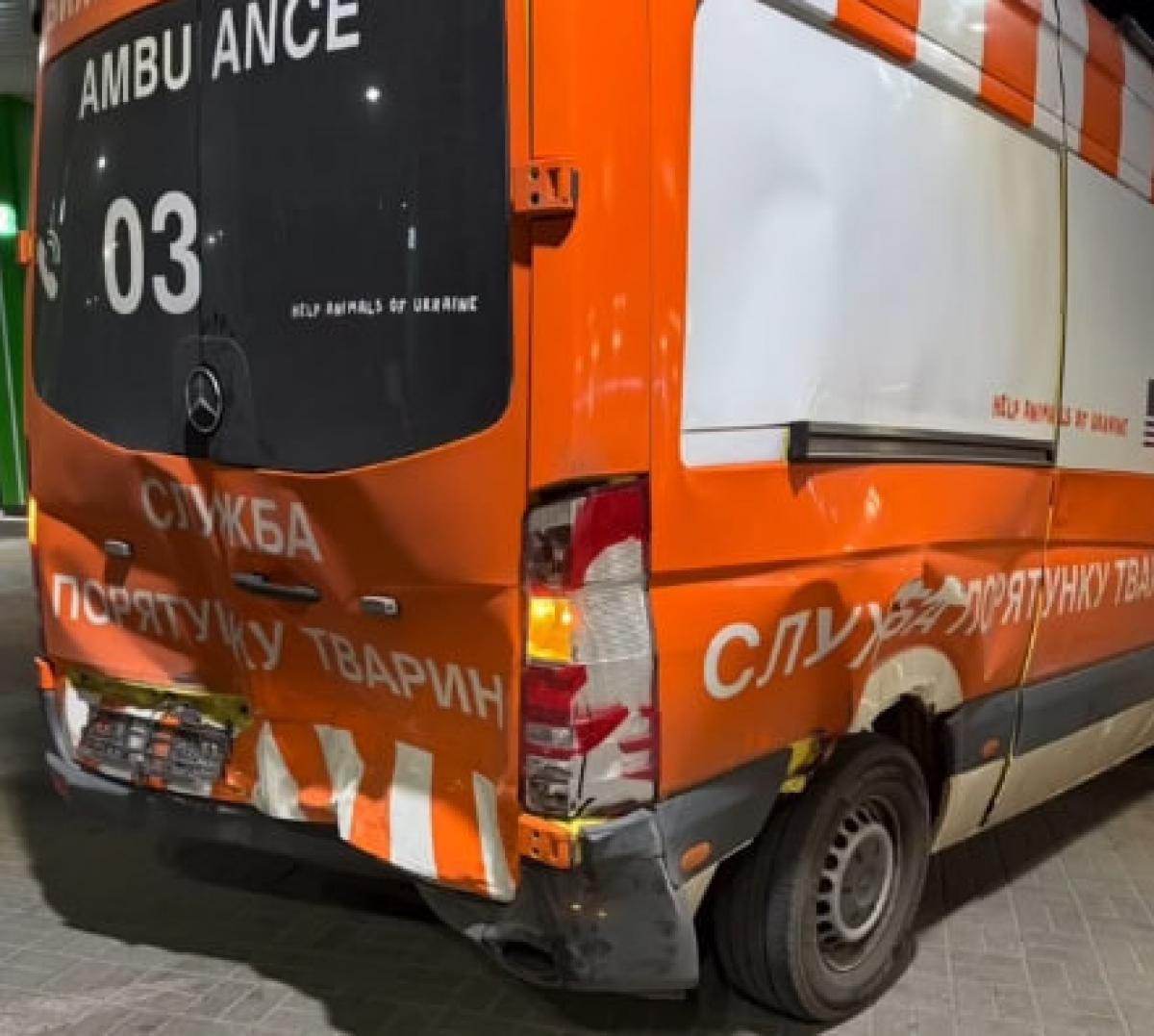 На Рівненщині Олень Борис пережив ще одну аварію дорогою до центру порятунку