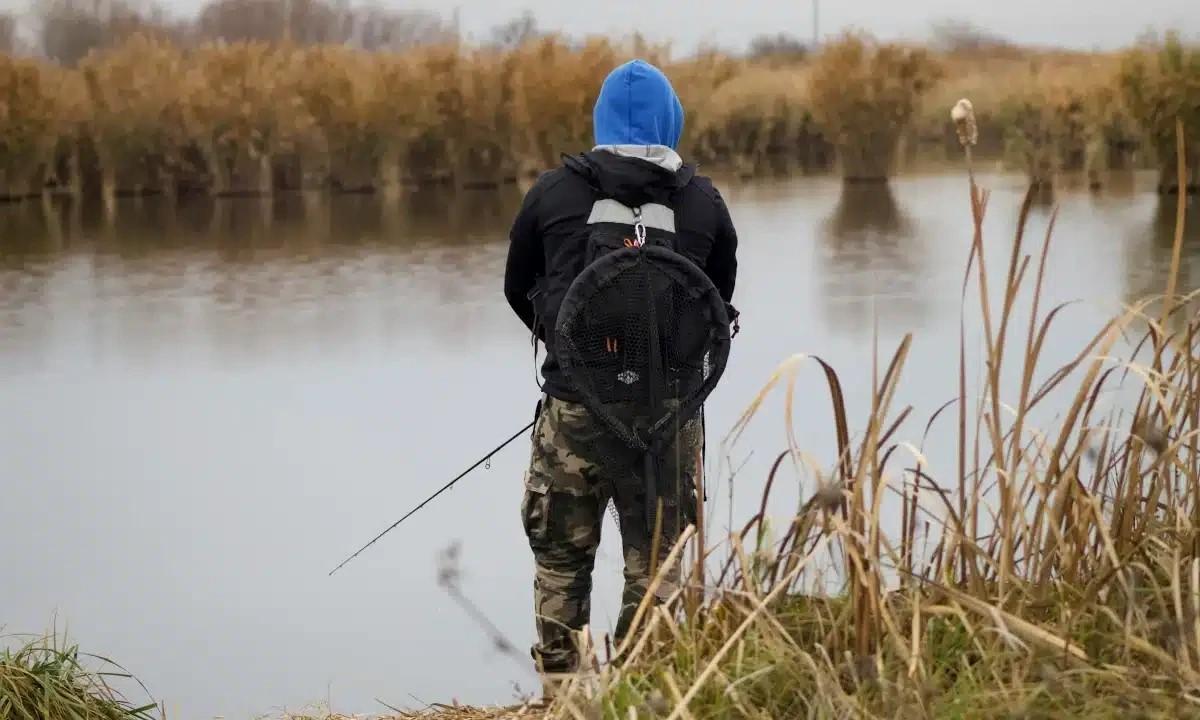 Риболовля на Рівненщині влітку 2026: де можна ловити, які обмеження діють і які приманки брати на щуку, окуня та судака