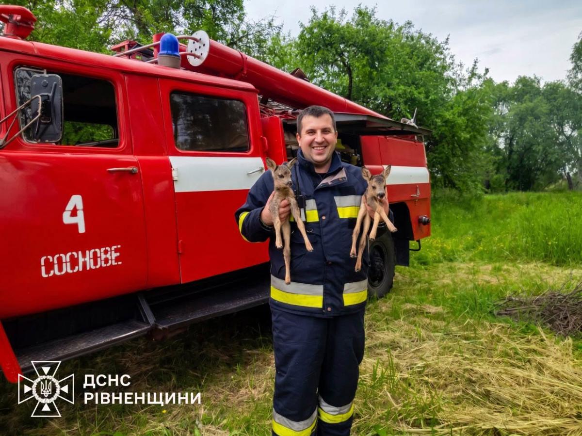 На Рівненщині рятувальники врятували двох оленят із вогняної пастки