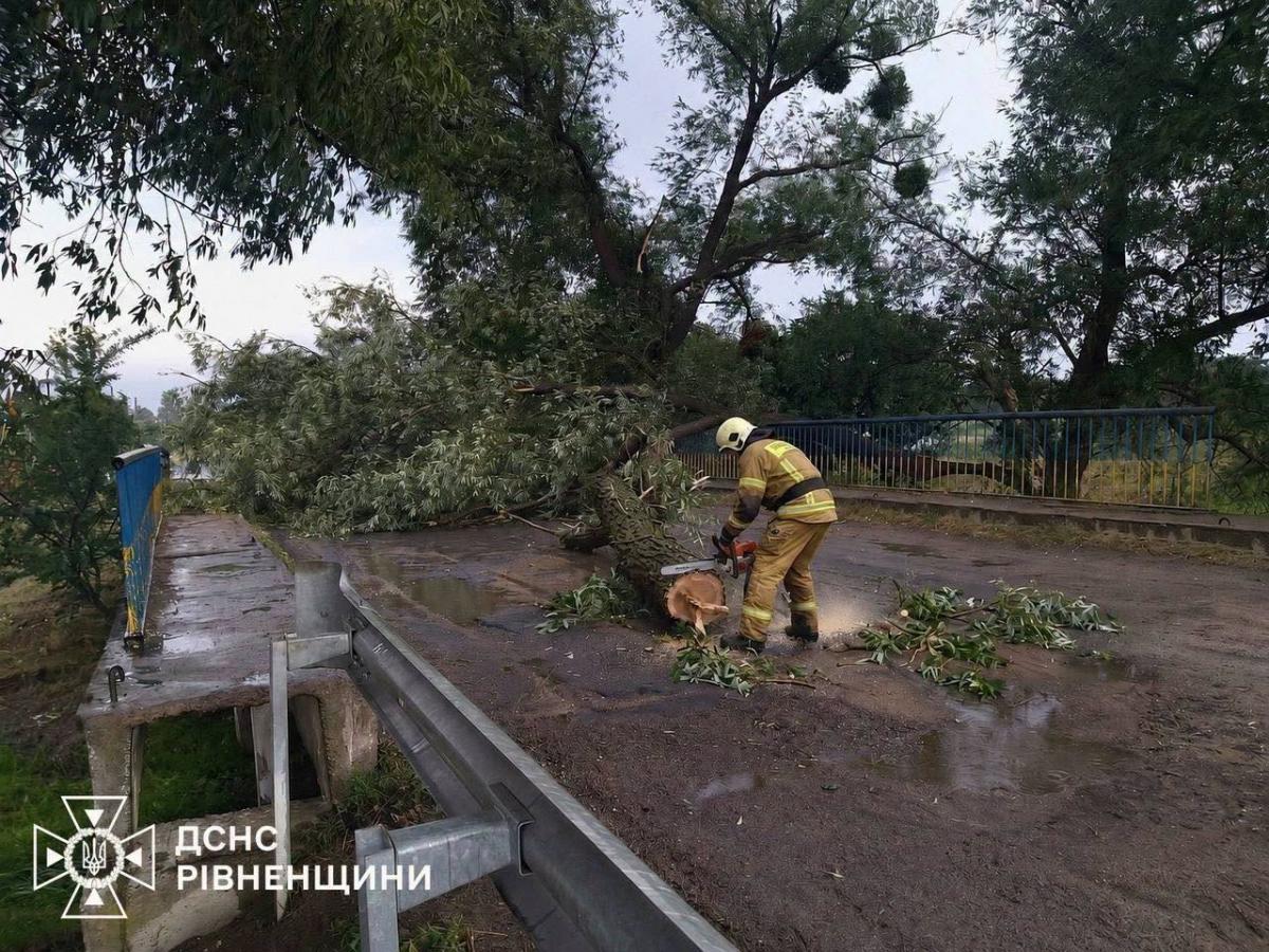 Негода на Рівненщині: пошкоджено будівлі та автомобілі, рятувальники розчищали дороги