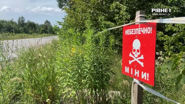 Прикордонні ліси Рівненщини: чим вони небезпечні та чому навіть за дикоросами туди зась (ВІДЕО)