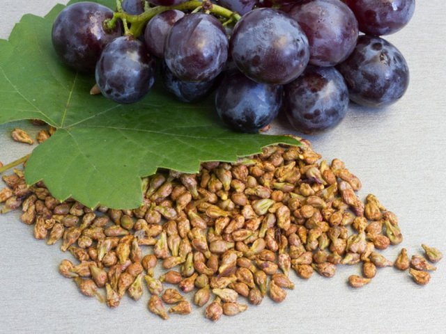 Користь виноградних кісточок для організму