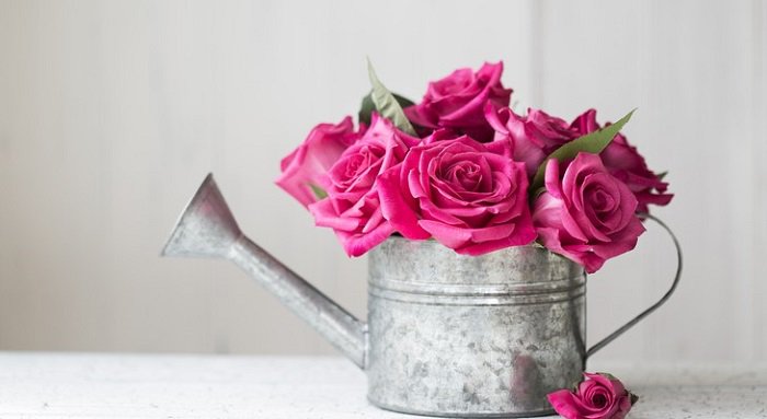 Тривалість свіжості троянд: скільки днів квіти можуть зберігати свою красу