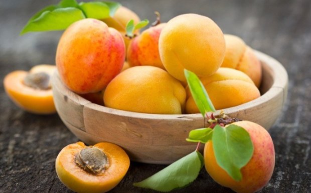 Чи потрібно перекривати абрикос на зиму?