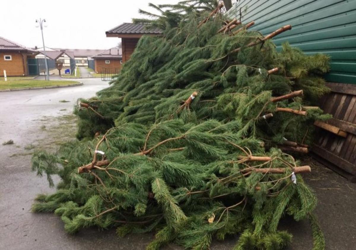 Фото ілюстративне