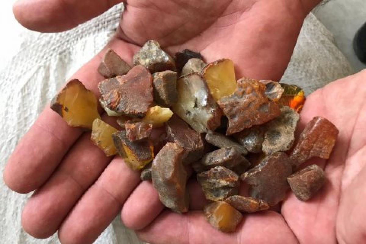 Фото ілюстративне