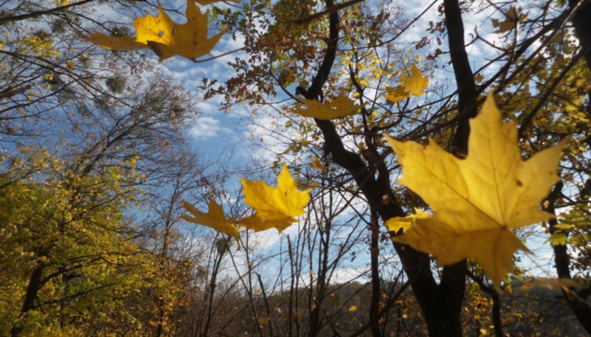 Фото ілюстративне