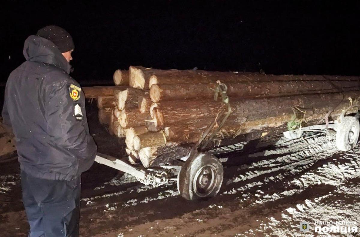 На Рівненщині поліцейські викрили крадіїв лісу