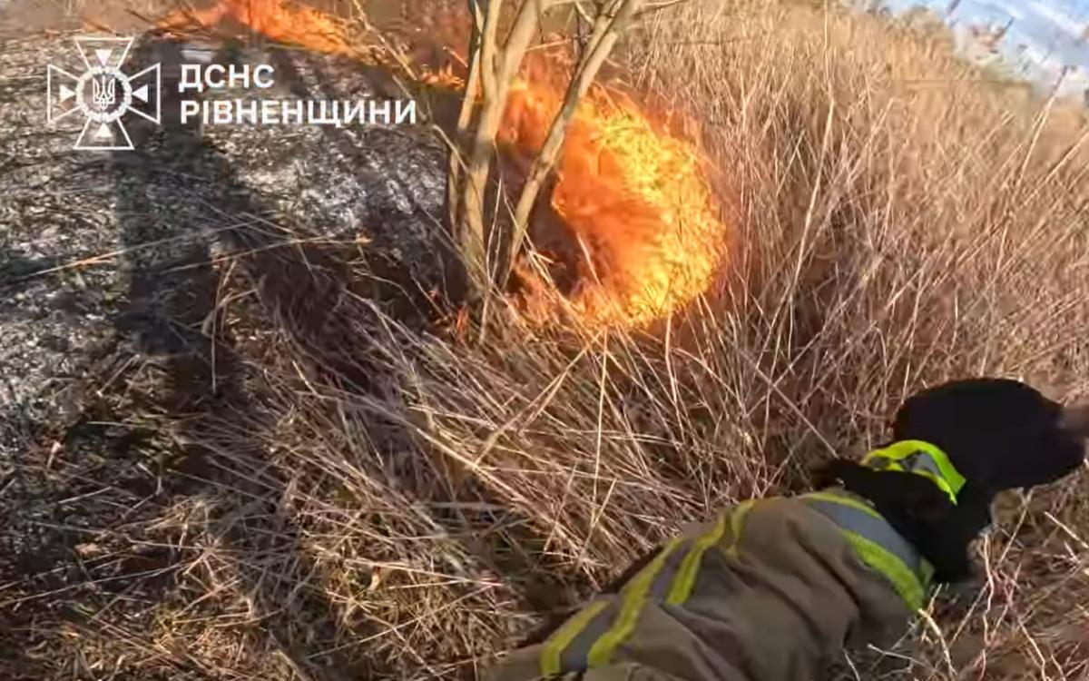 Рівненські рятувальники здійснили вісім виїздів на гасіння сухостою за добу