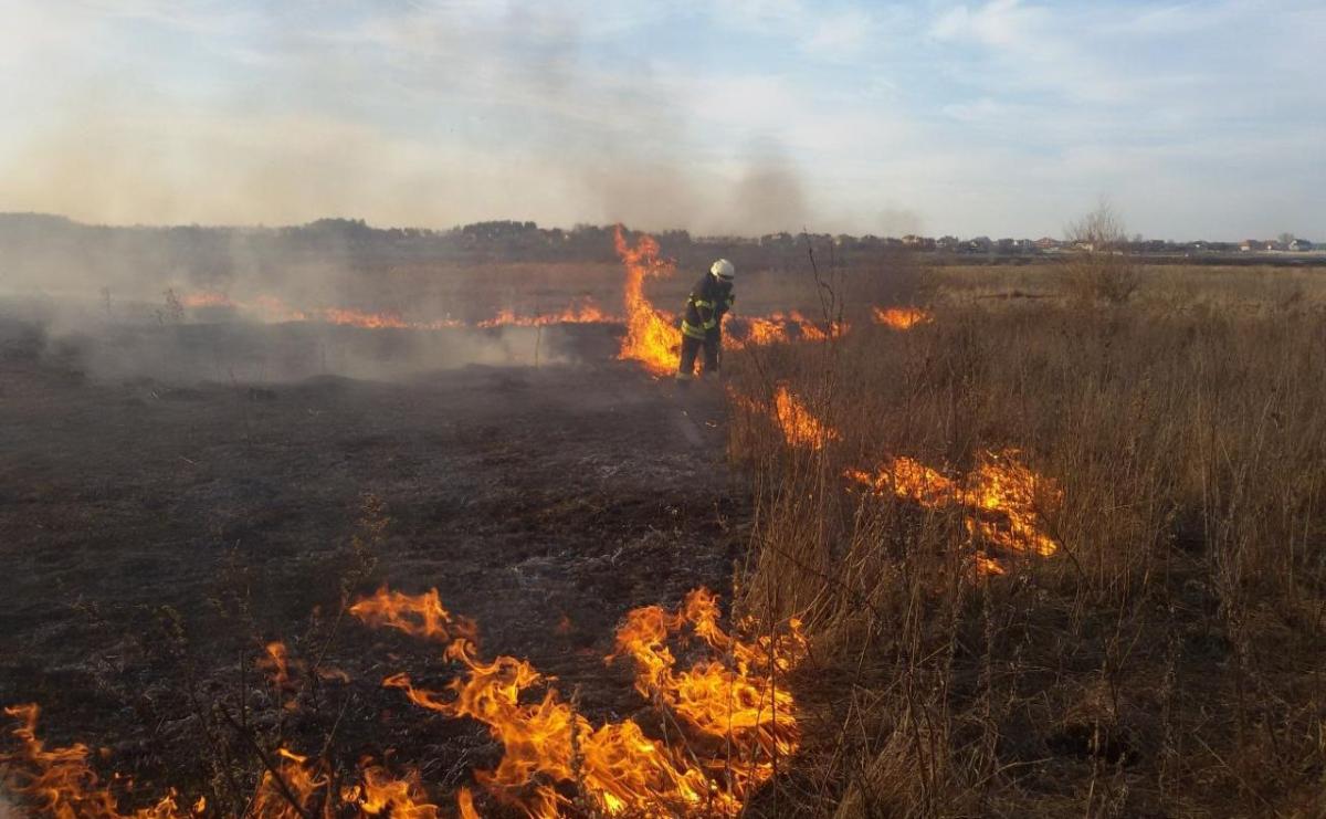Фото ілюстративне