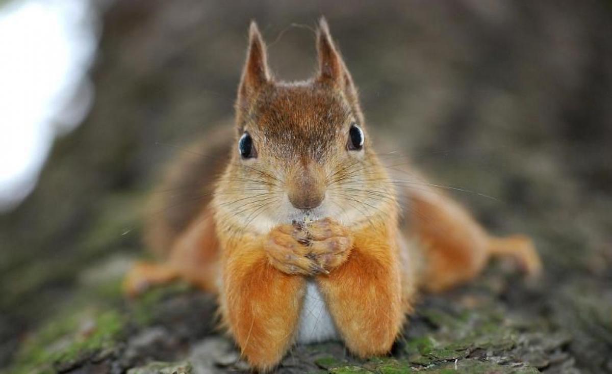 Фото: ілюстративне