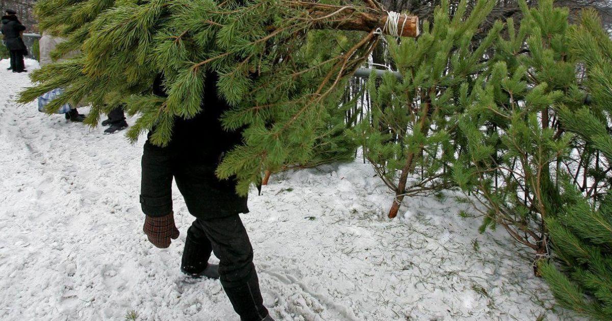 Фото ілюстративне