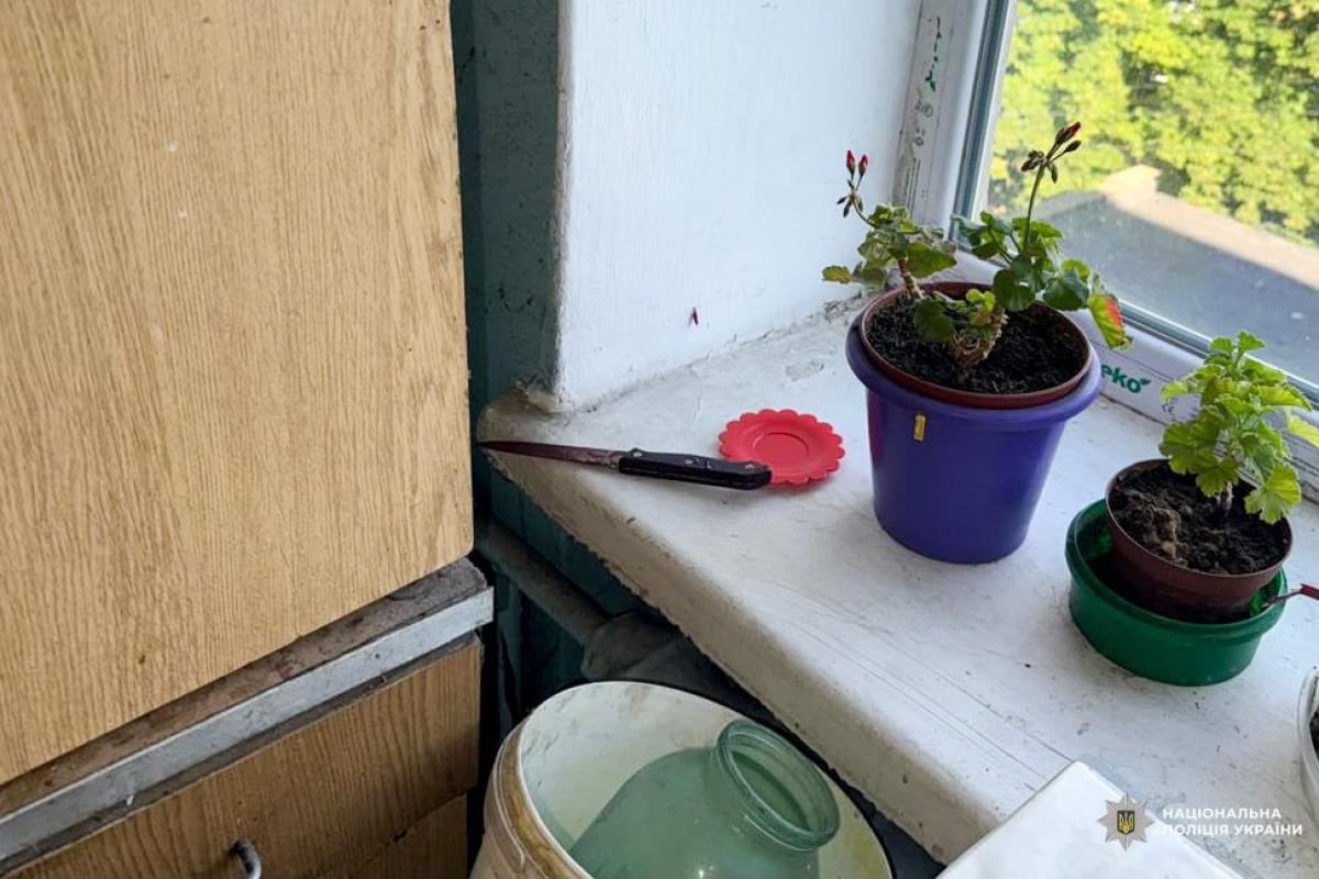 Смертельний конфлікт під час застілля: жительку Рівненського району засудили до 7 років тюрми