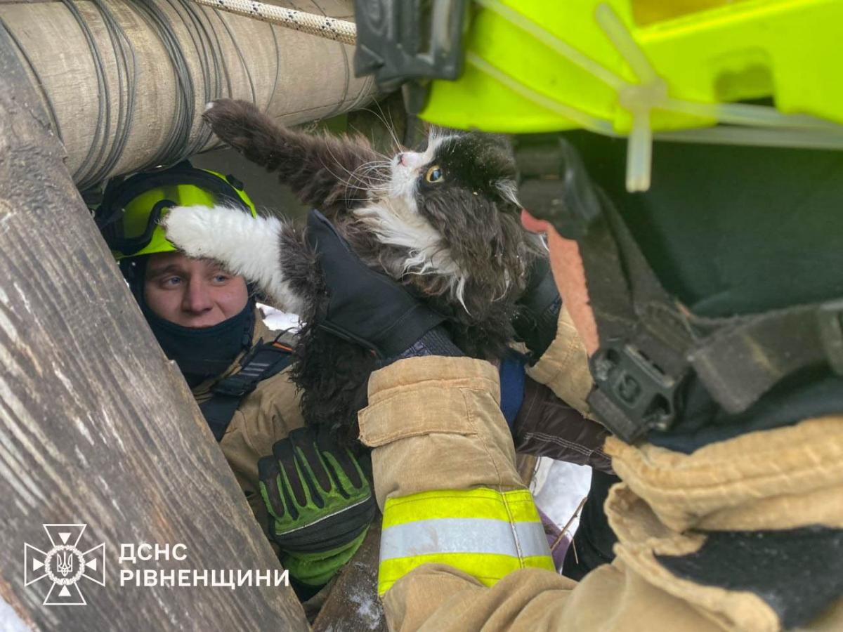 На Рівненщині врятували кота з глибокого колодязя