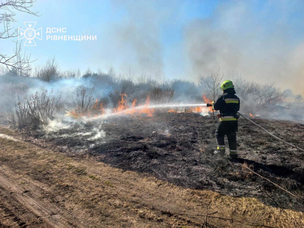 За добу на Рівненщині вигоріло майже 11 гектарів землі: рятувальники ліквідували 15 пожеж