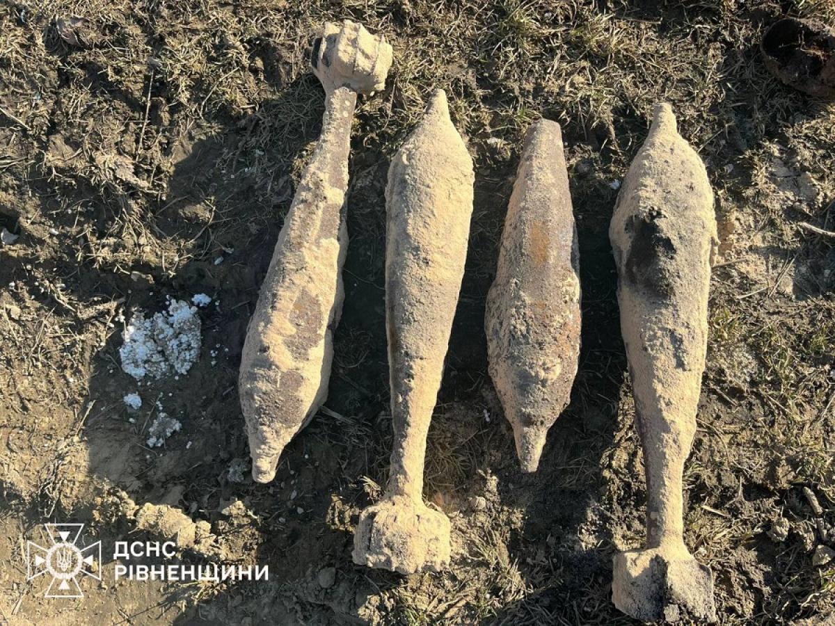У Дубенському районі під час польових робіт знайшли мінометні міни