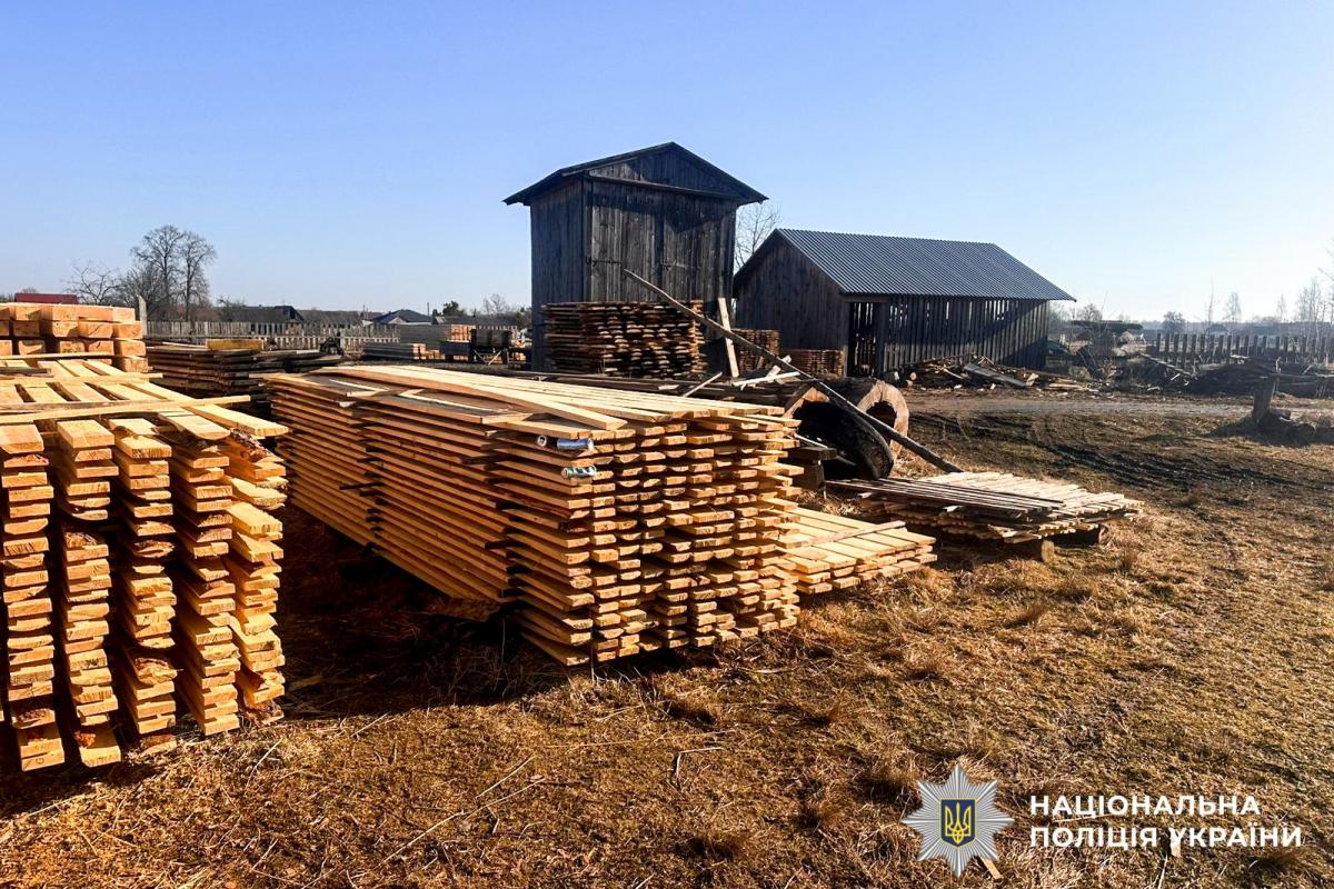 На Березнівщині викрили незаконну порубку лісу