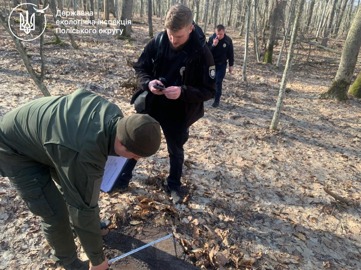 Незаконна вирубка в заповіднику на Рівненщині: збитки перевищили 1,4 мільйона гривень