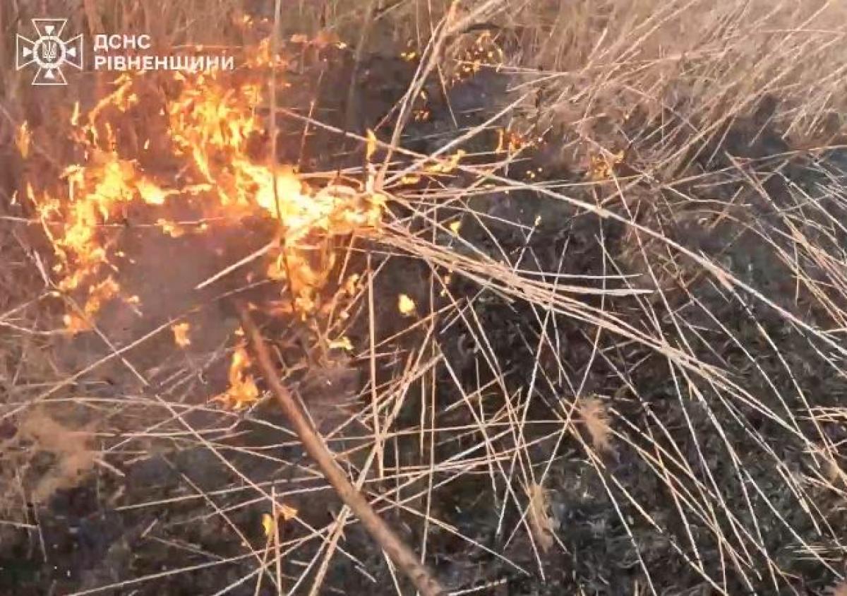 На Рівненщині за день вигоріло понад 7 гектарів сухої трави (ВІДЕО)