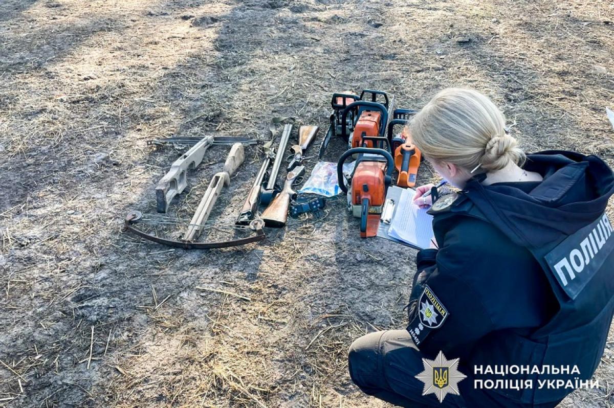 Бензопили, арбалети, рушниці та колоди сосни: на Рівненщині викрили незаконну порубку лісу (ФОТО)