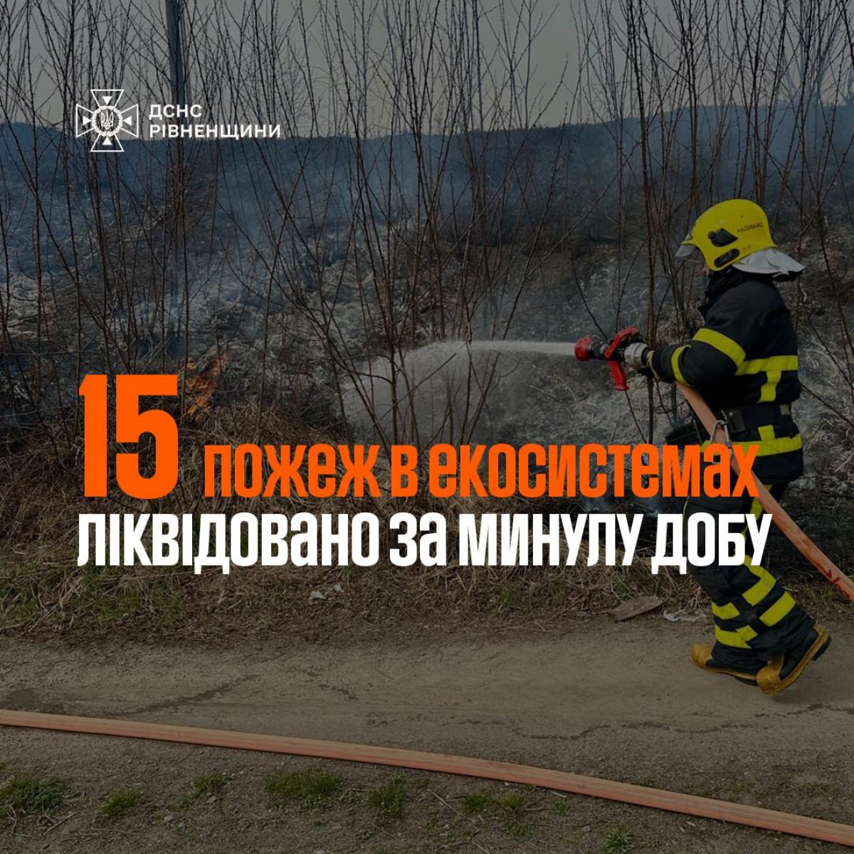 На Рівненщині за добу сталося понад десяток пожеж сухостою