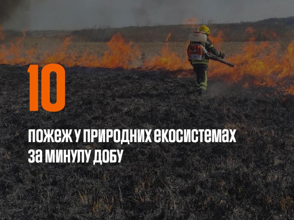 На Рівненщині за добу вигоріло понад 2 гектари екосистем