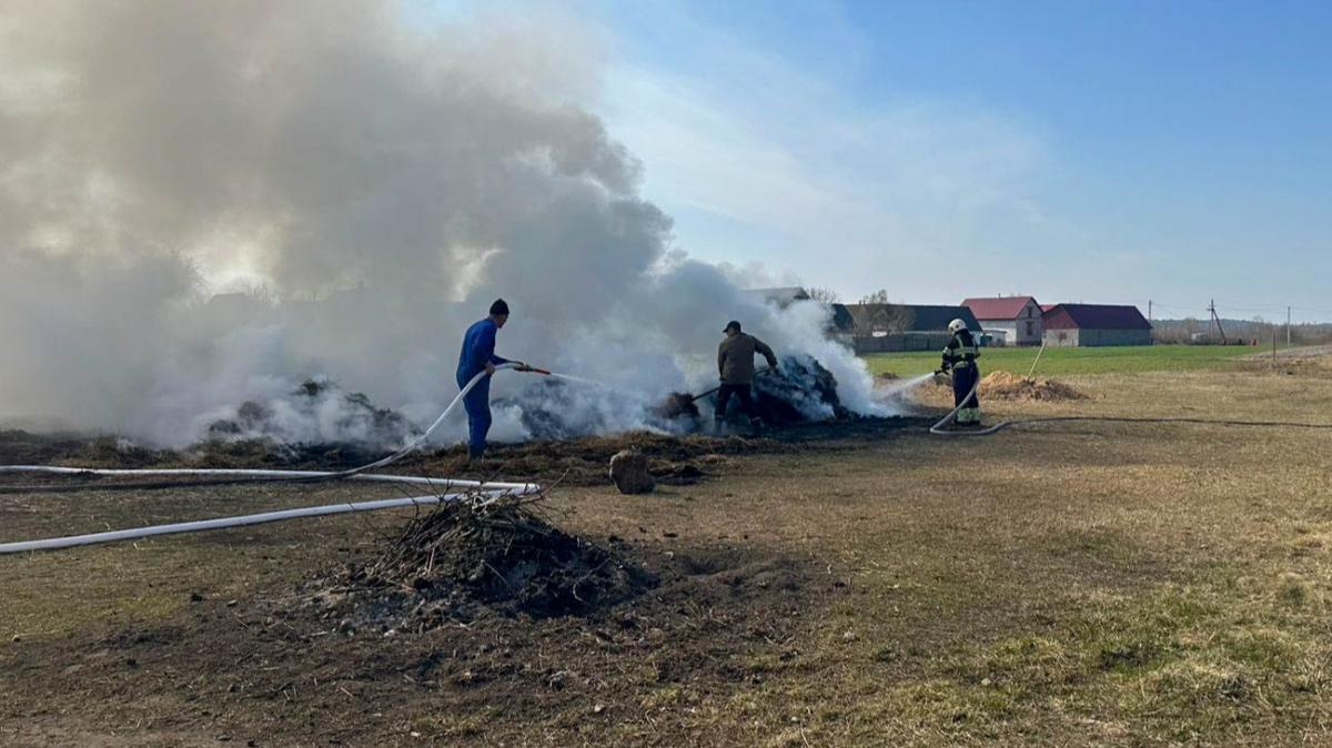 За добу на Рівненщині сталося 24 пожежі в екосистемах: вигоріло понад 10 гектарів