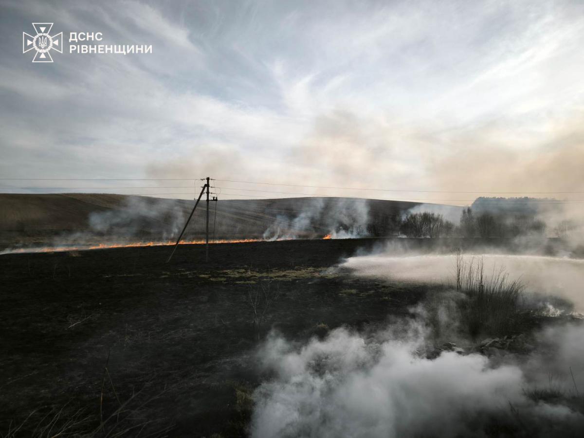 За добу на Рівненщині ліквідували 31 пожежу сухостою (ВІДЕО)