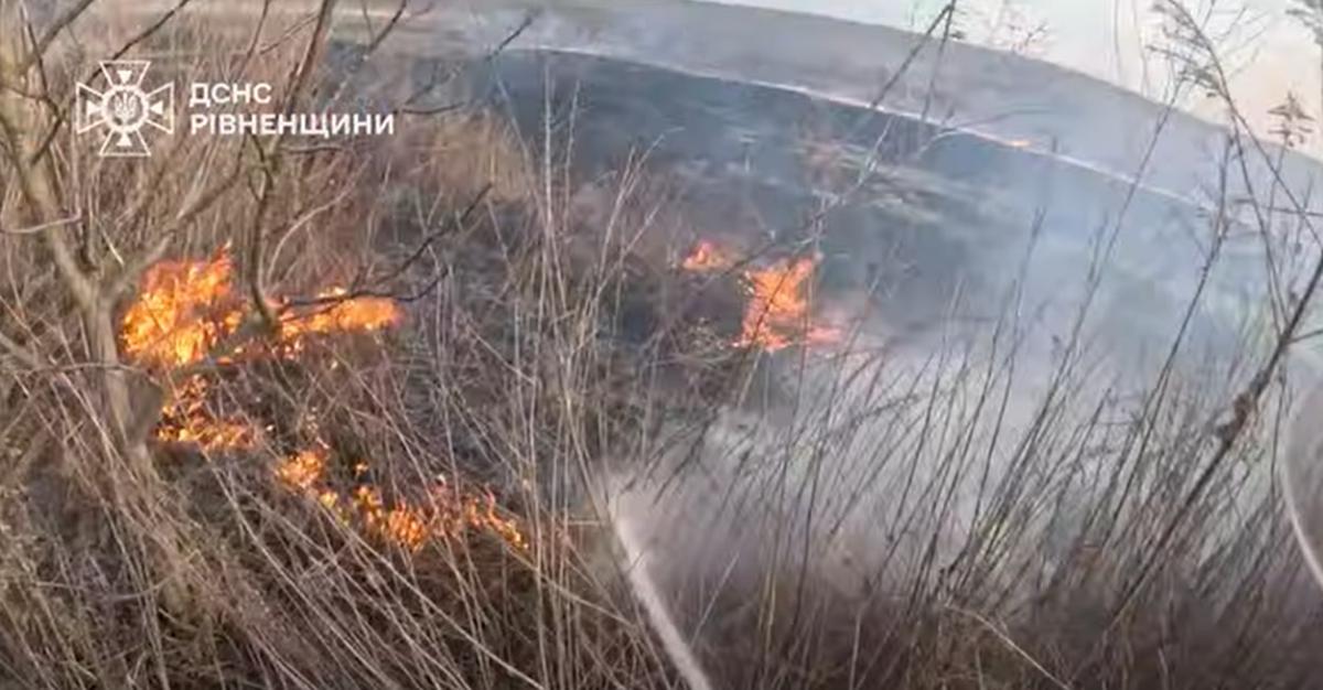 Понад 4 гектари вигоріло: на Рівненщині щодня гасять пожежі в екосистемах