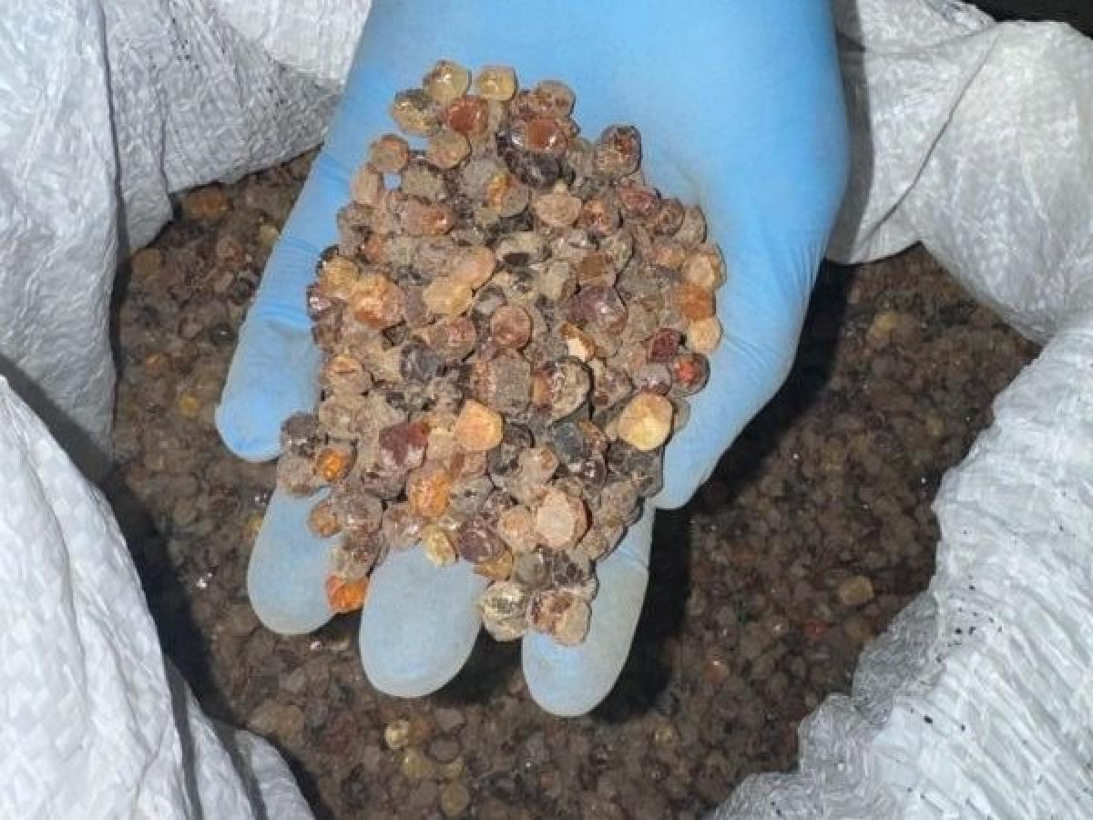 На Рівненщині судитимуть групу ділків за незаконний обіг бурштину