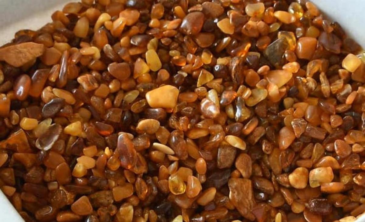 На Рівненщині судитимуть чоловіка за незаконний видобуток бурштину в заповіднику